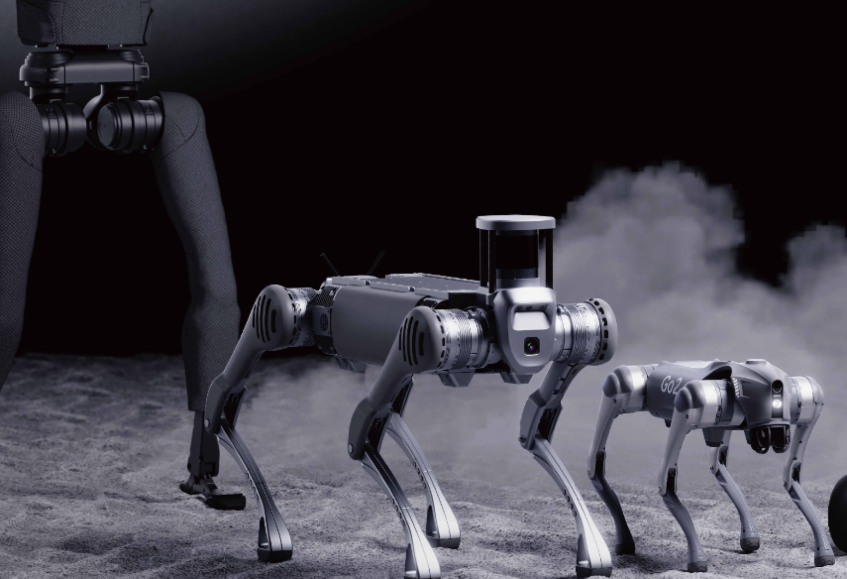 Investors Flock to Yushu's Old Shares Starting from 5 Million